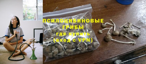 дживик Абинск