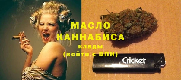 дживик Абинск