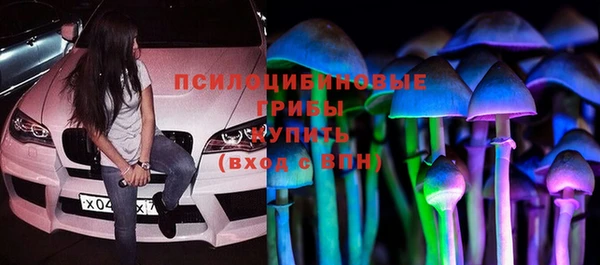 дживик Абинск