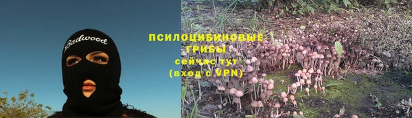 дживик Абинск